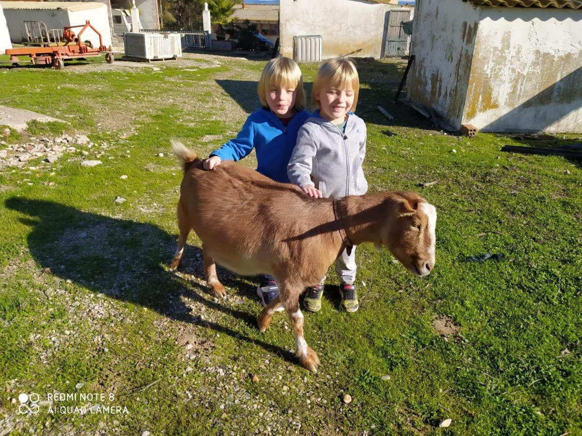 Casa Con Vistas, Piscina Y Animales De Granja, La Caseta Tarragona Kültér fotó