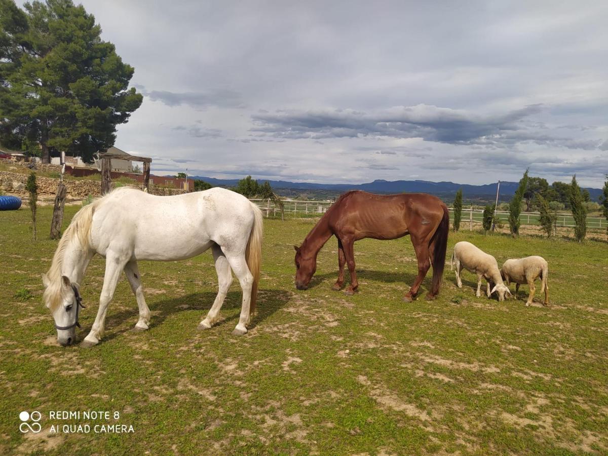 Casa Con Vistas, Piscina Y Animales De Granja, La Caseta Tarragona Kültér fotó