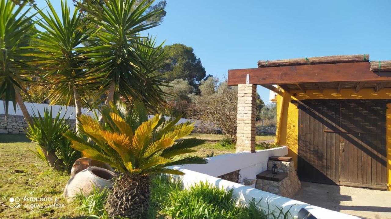 Casa Con Vistas, Piscina Y Animales De Granja, La Caseta Tarragona Kültér fotó