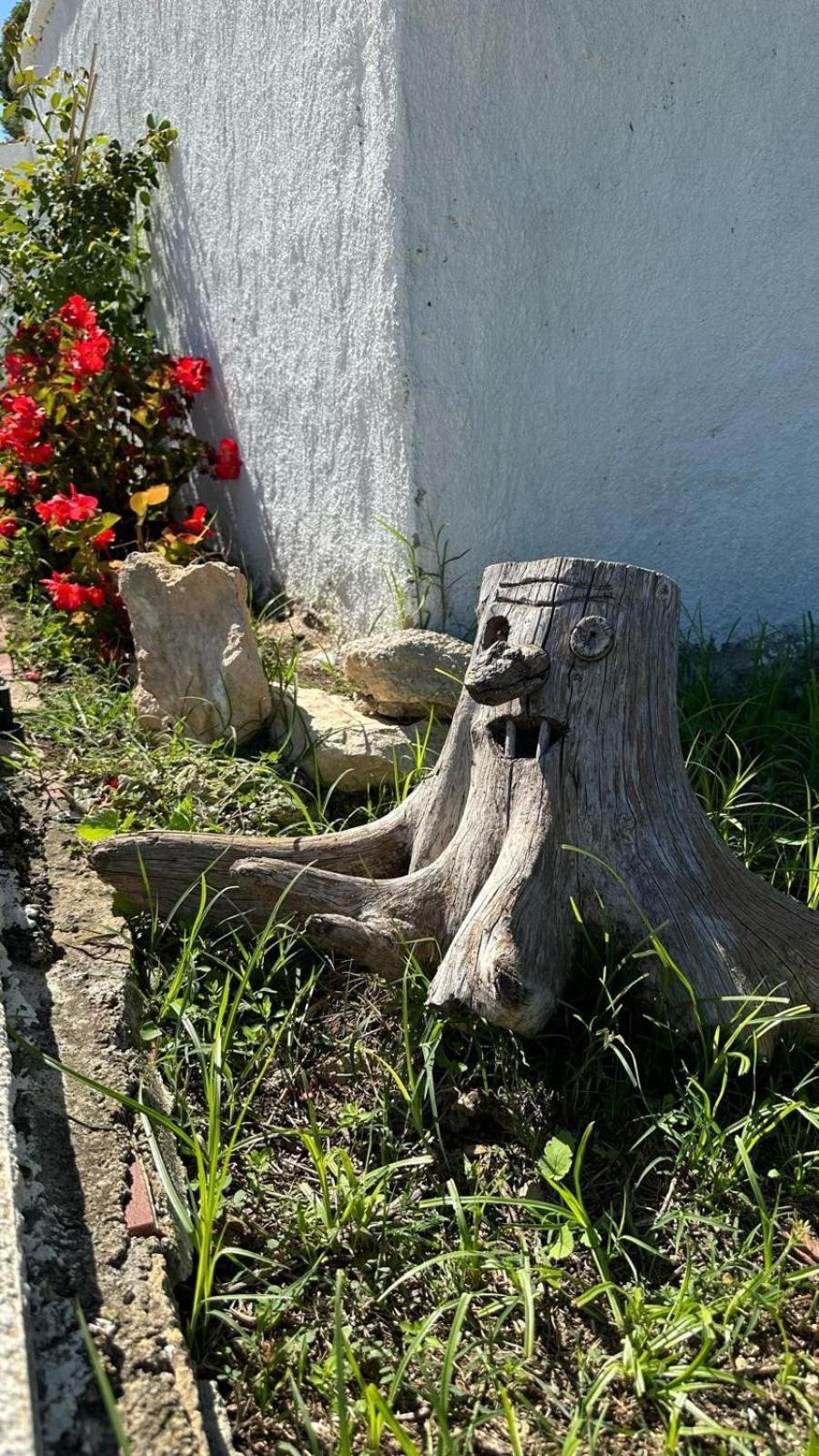 Casa Con Vistas, Piscina Y Animales De Granja, La Caseta Tarragona Kültér fotó